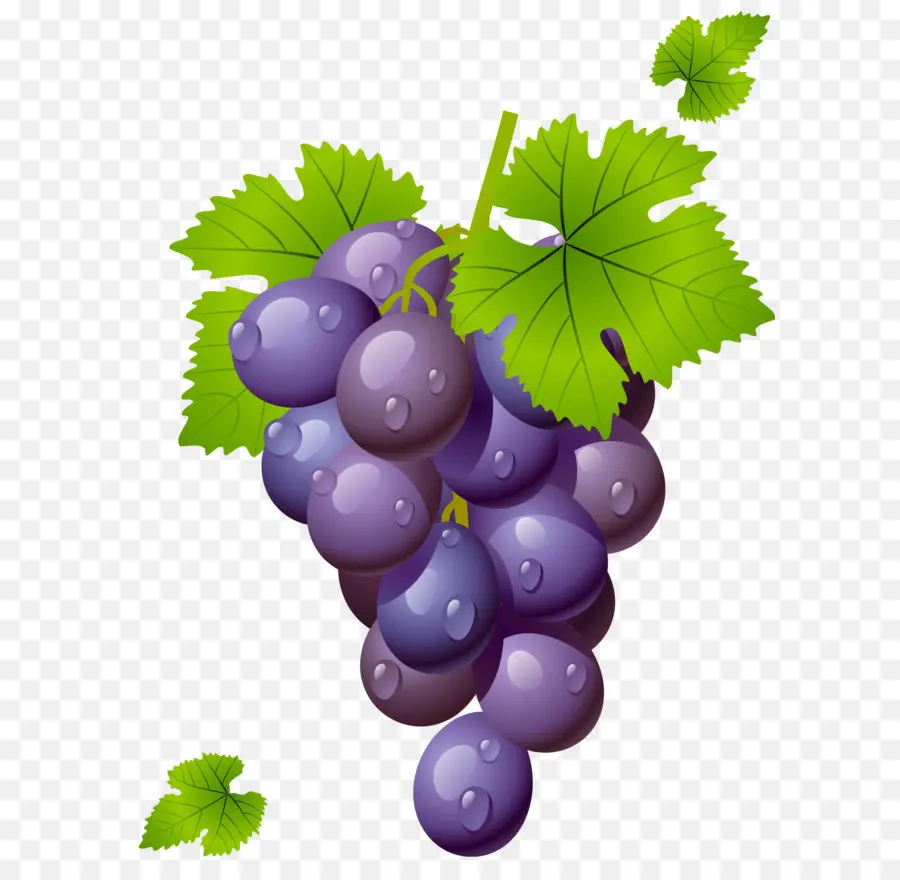 Ortak Grape Vine，şarap PNG