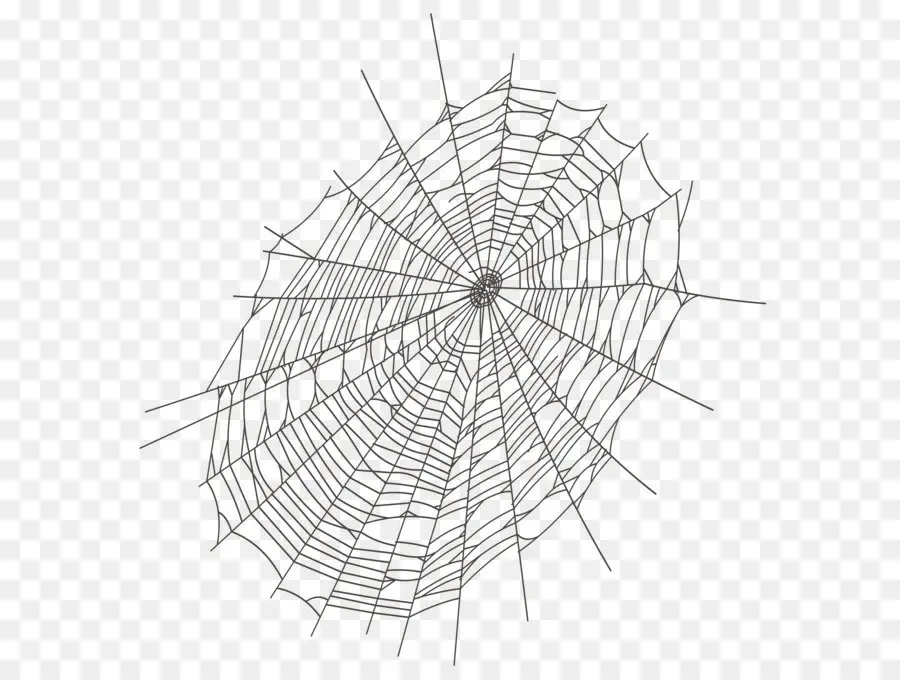 örümcek，örümcek Web PNG
