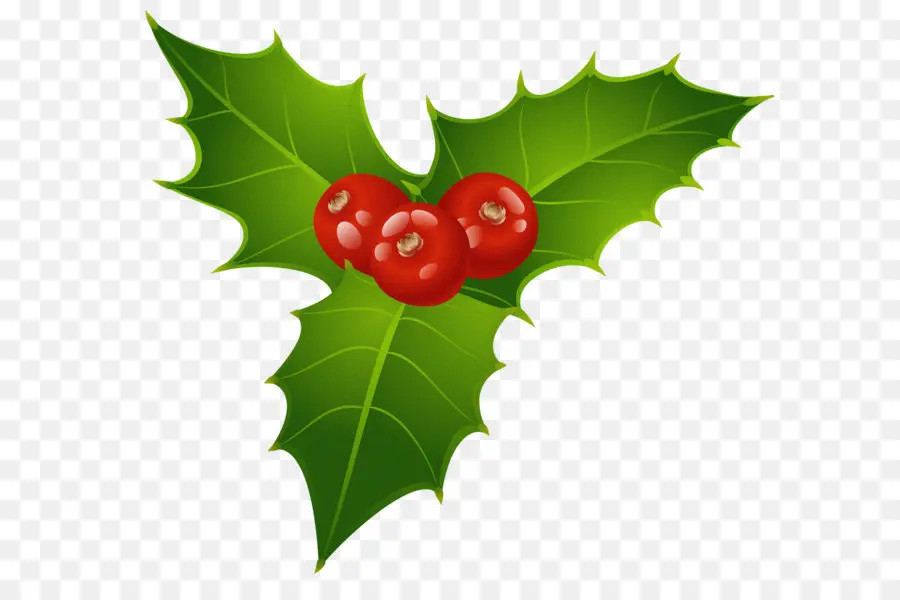 Ortak Holly，Ökseotu PNG