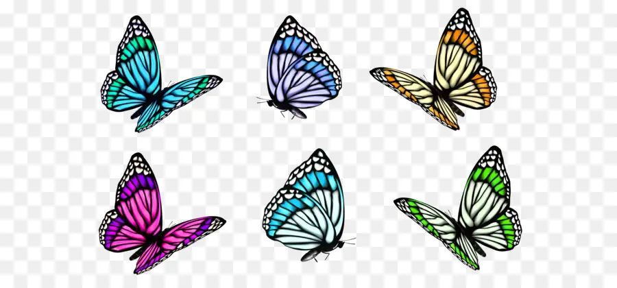 Kelebek，Tam Kelebek Dekoratif Renkli Resimler PNG
