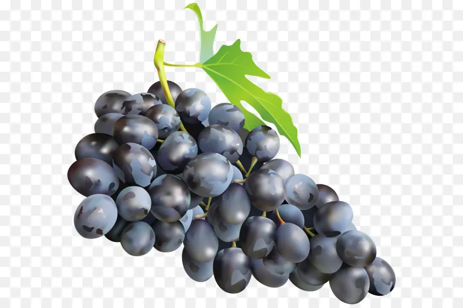 Muscadine üzüm，şarap PNG