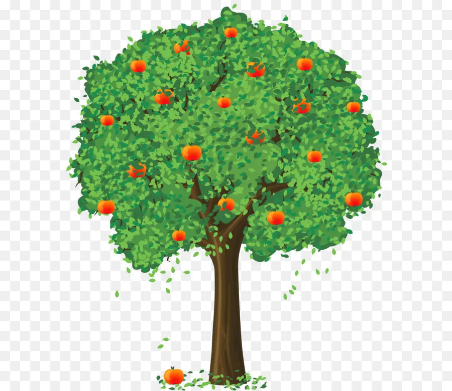 Ağaç，Karikatür PNG