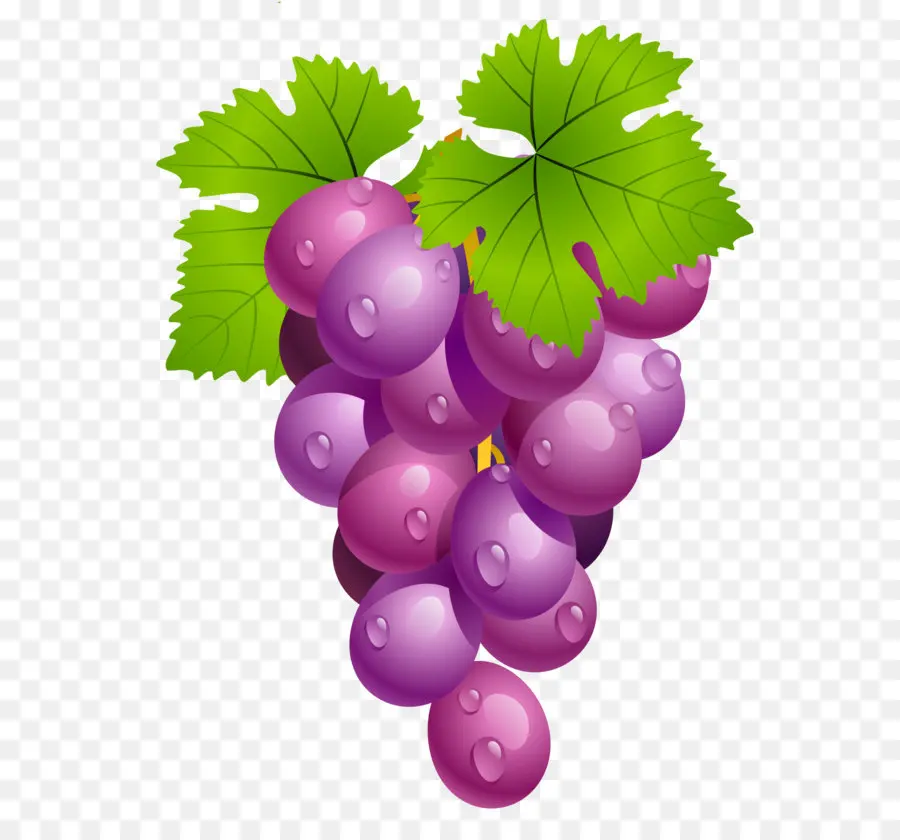 şarap，Ortak Grape Vine PNG