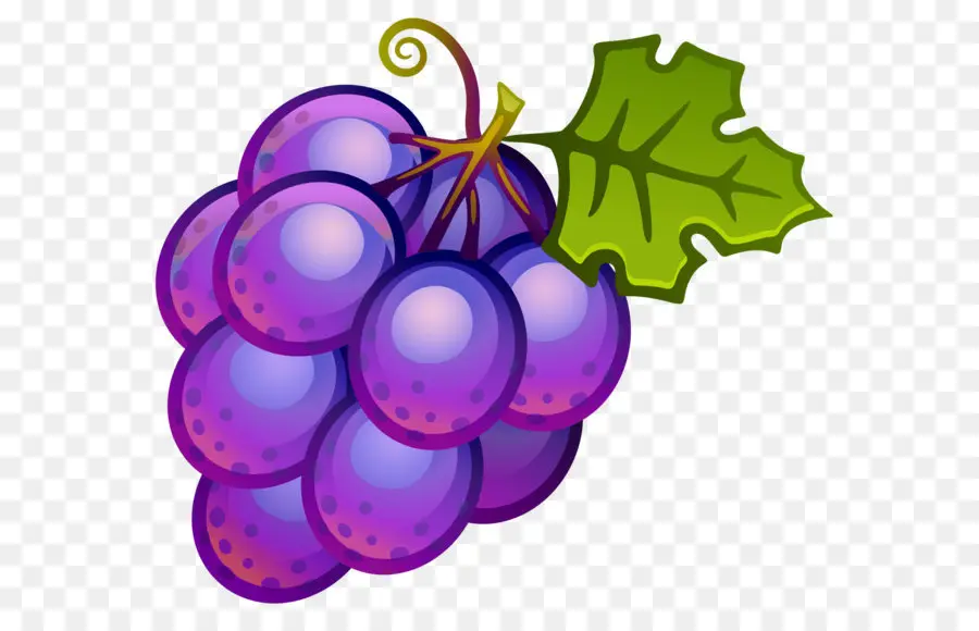 şarap，Ortak Grape Vine PNG