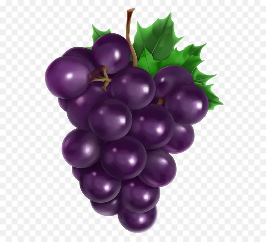 Suyu，Ortak Grape Vine PNG