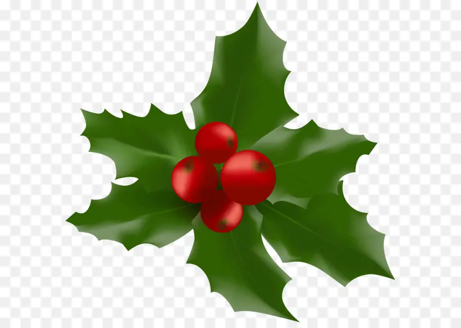 şeker Kamışı，Ortak Holly PNG