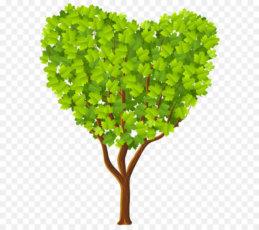 Ağaç，Kalp PNG