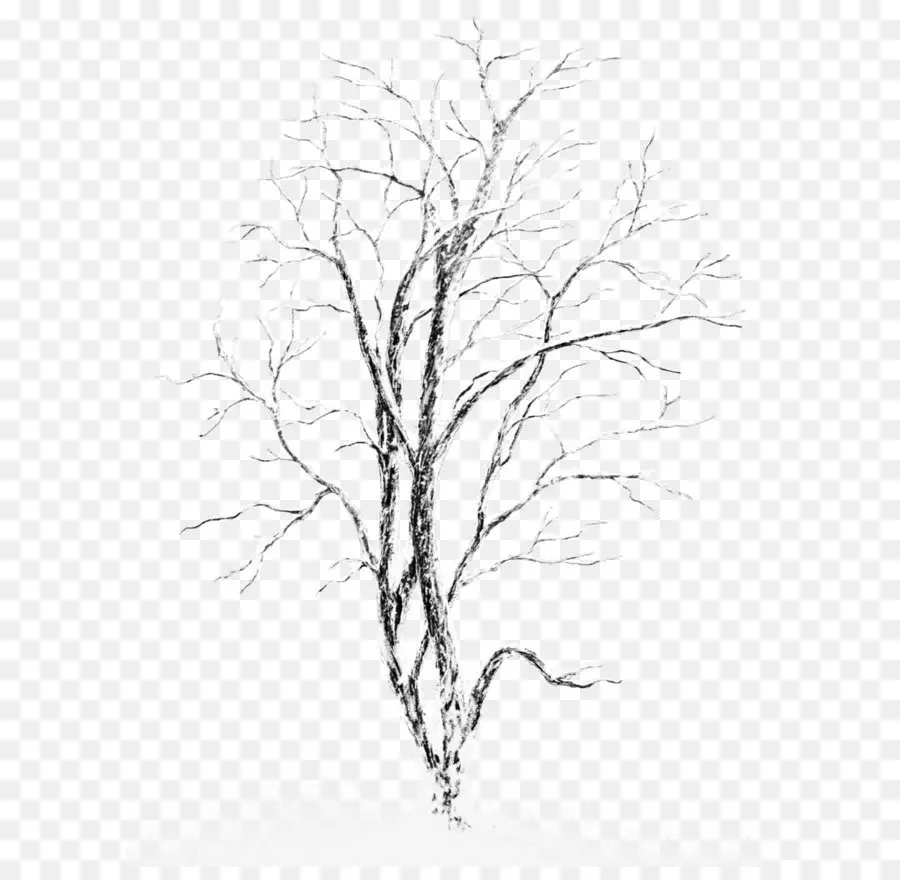 Ağaç，Kar PNG