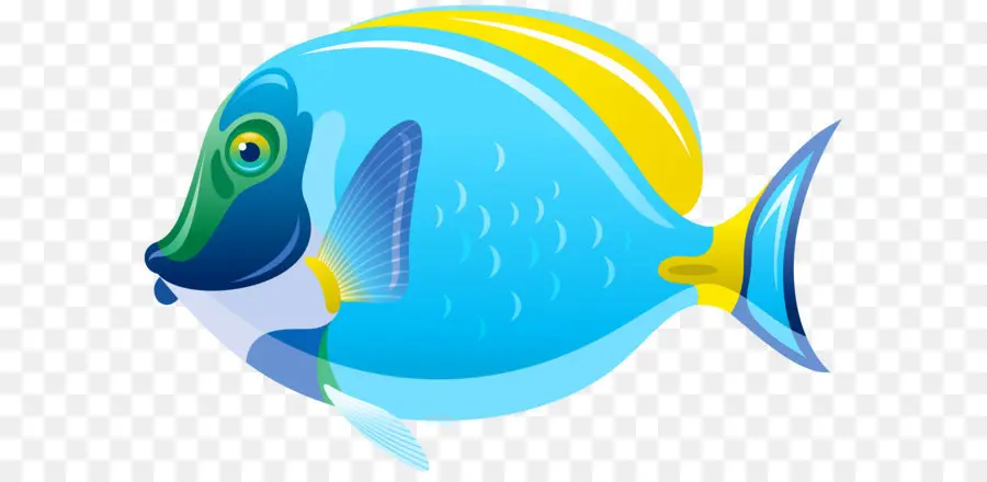 Balık，Tuzlu Su Balığı PNG