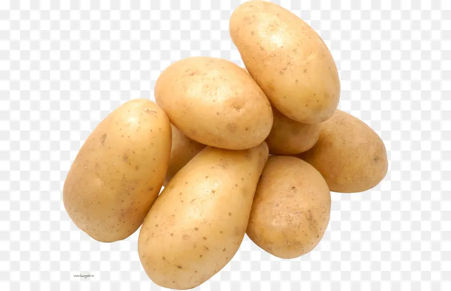 Sade Burbank，Fransız Patates Kızartması PNG