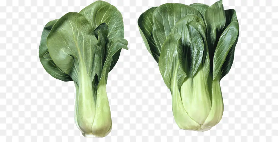 Bok Choy，Yeşillik PNG