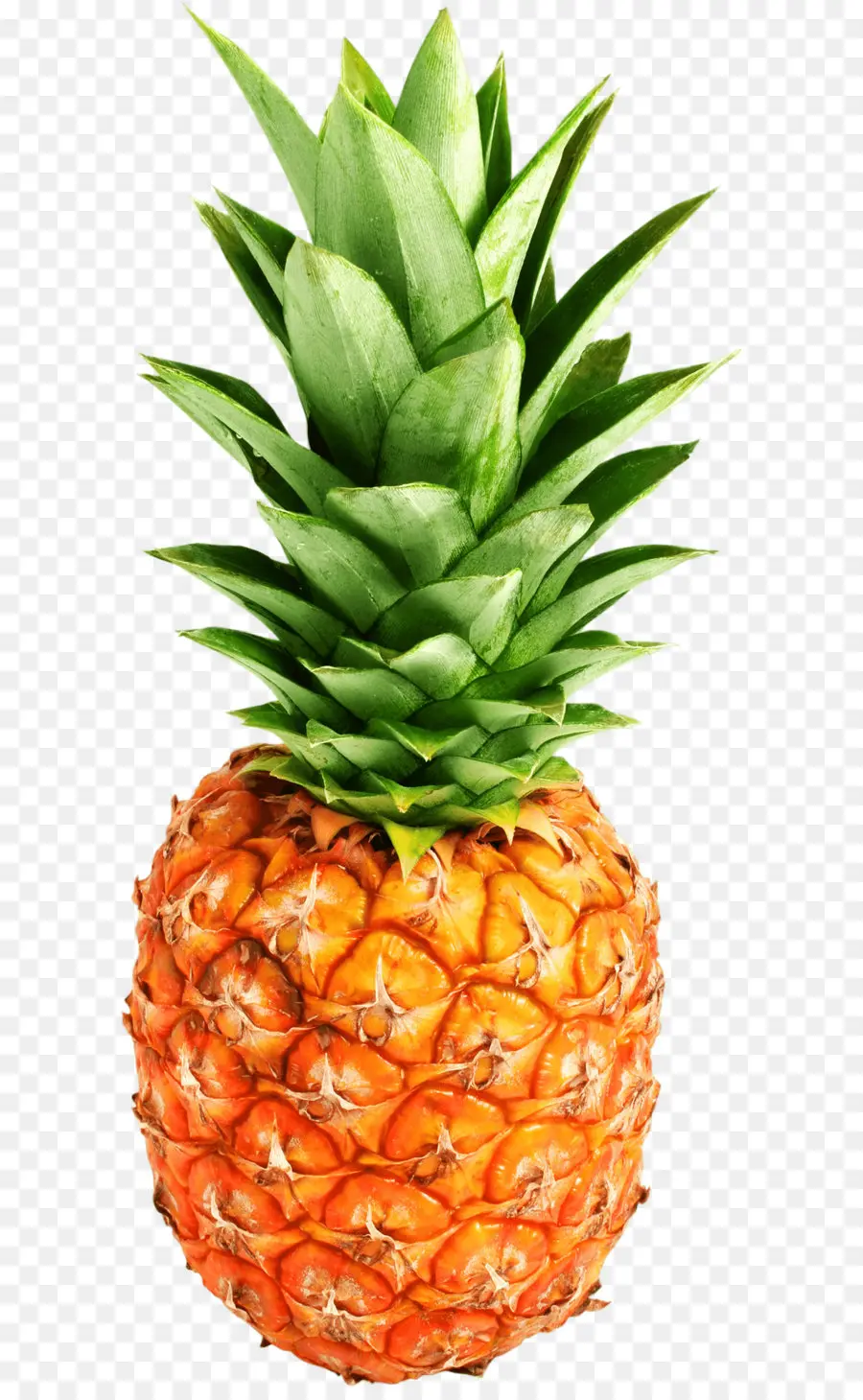 Ananas，Tropikal PNG