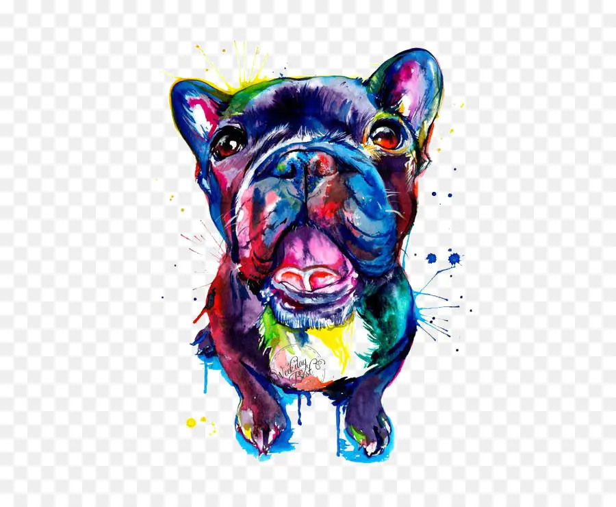 Fransız Bulldog，Buldok PNG
