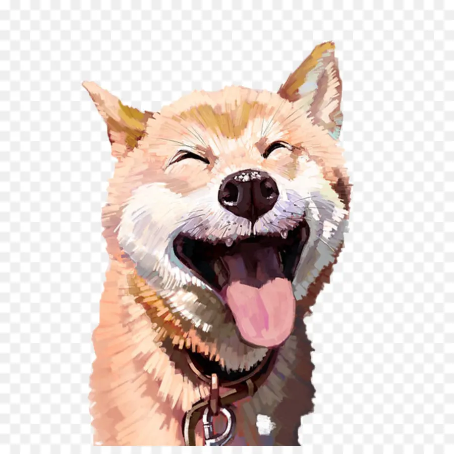 Tamaskan Köpek，Shiba ınu PNG