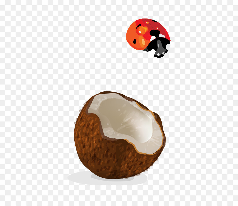 Hindistan Cevizli，Coco PNG