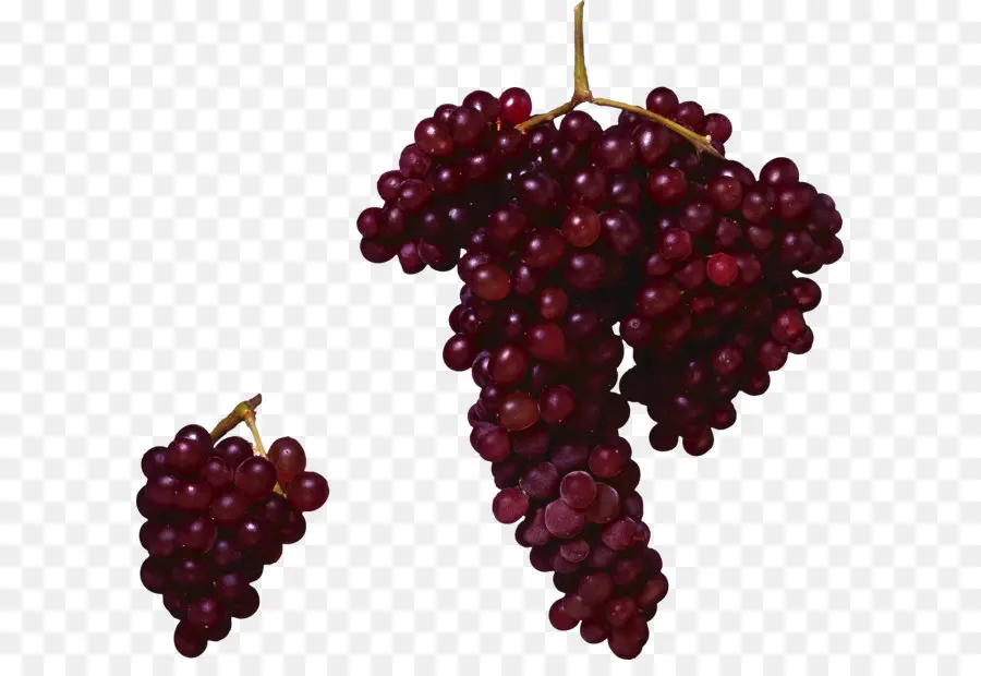 Kırmızı şarap，Ortak Grape Vine PNG
