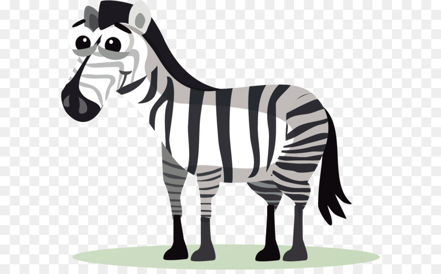 Renkli Zebra，Çizgili PNG