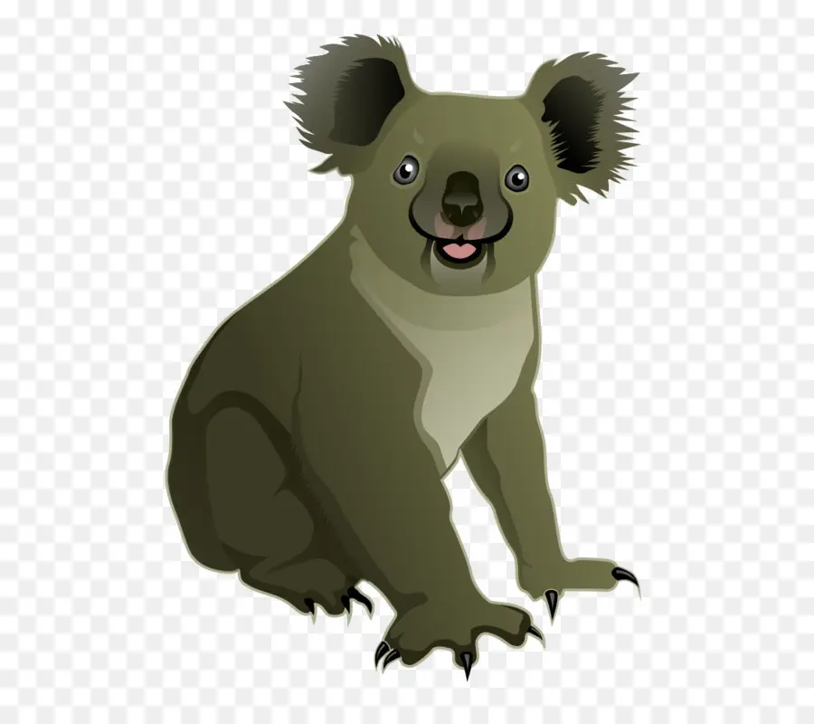 Koala，Keseli PNG