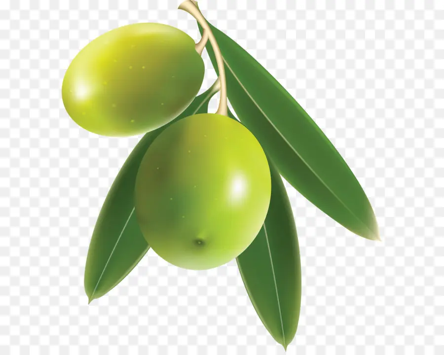 Yeşil Zeytin，Meyve PNG