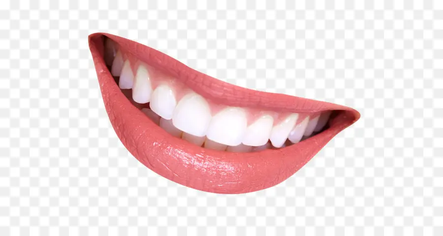 Dişçilik，Diş Hekimi PNG