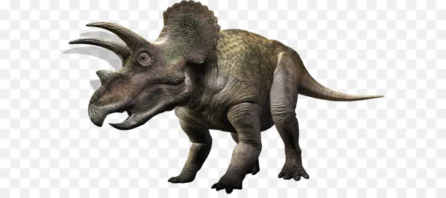 Triceratops，Tarih öncesi PNG