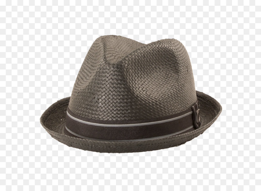 şapka，Fötr PNG