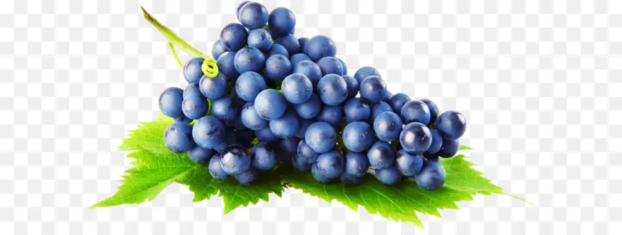 Ortak Grape Vine，üzüm Pasta PNG