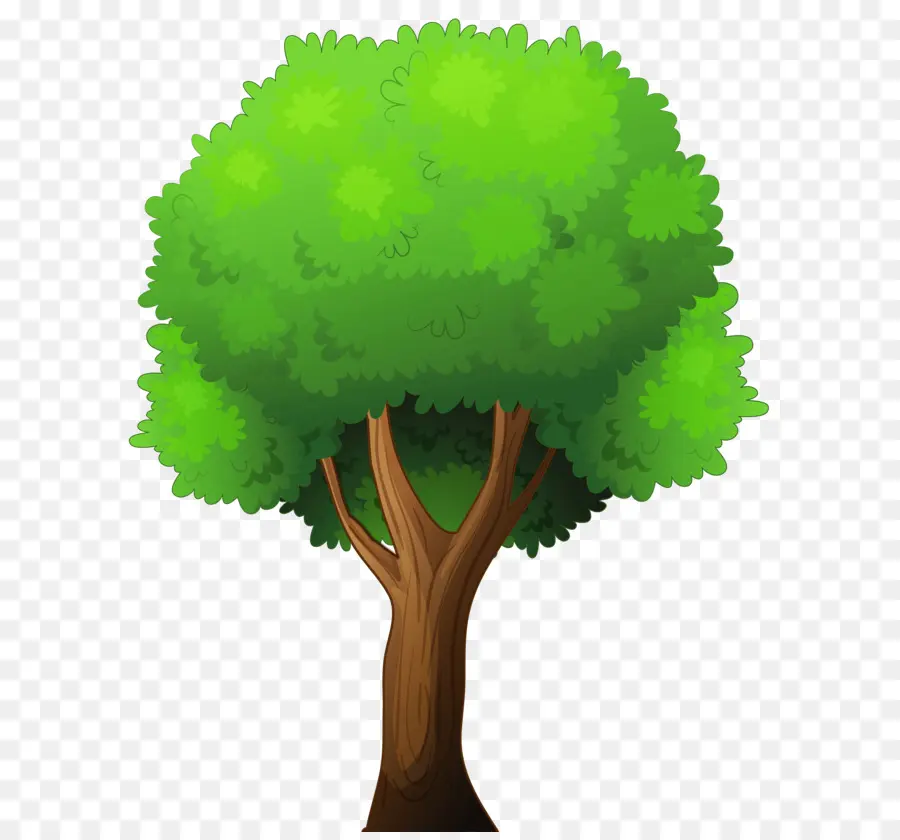 Ağaç，Karikatür PNG
