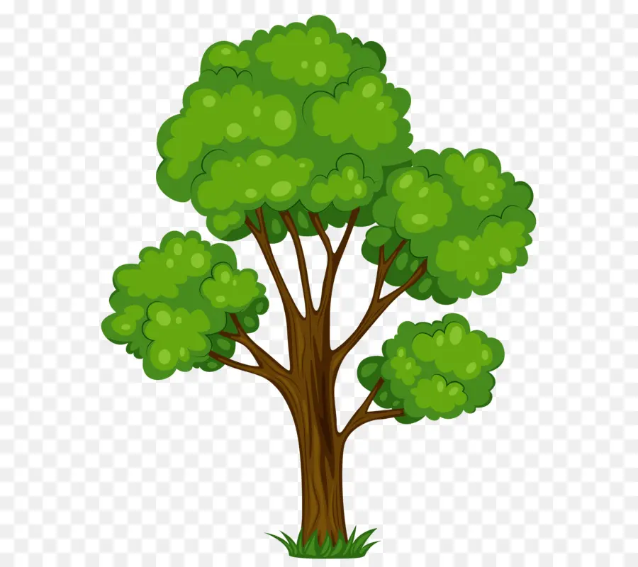 Ağaç，Royalty ücretsiz PNG