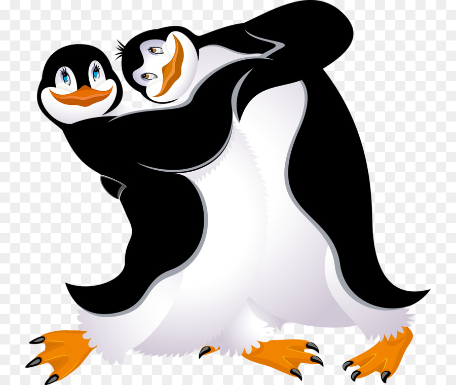 Penguen，Kuş PNG