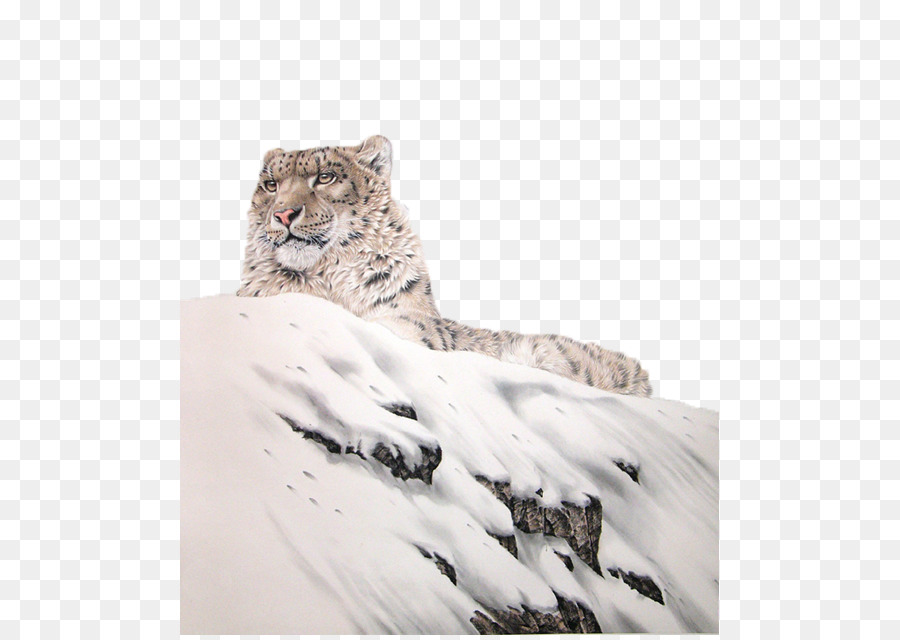 Leopar，Kaplan PNG