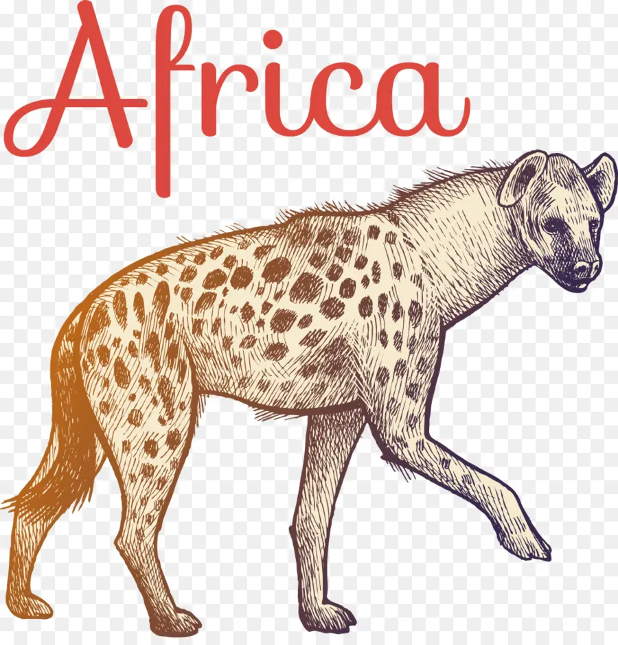 Sırtlan，Afrika PNG