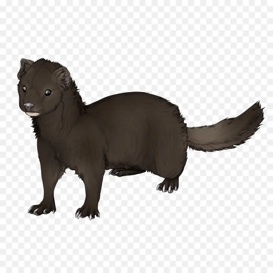 Avrupa Çam Marten，Gelincik PNG