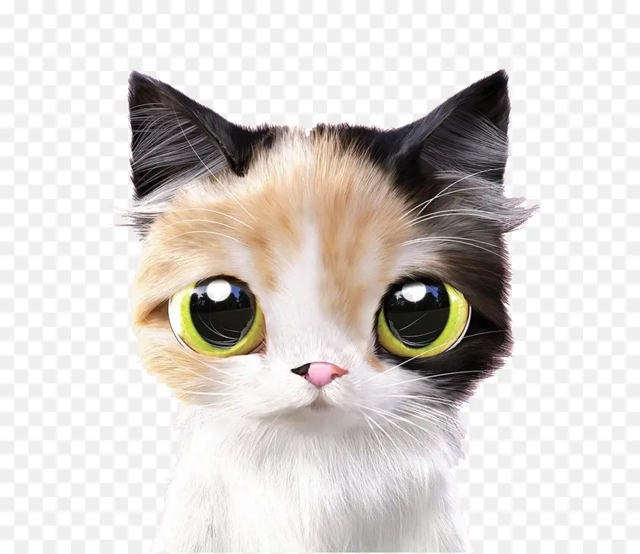 Kedi，Kedi Yavrusu PNG