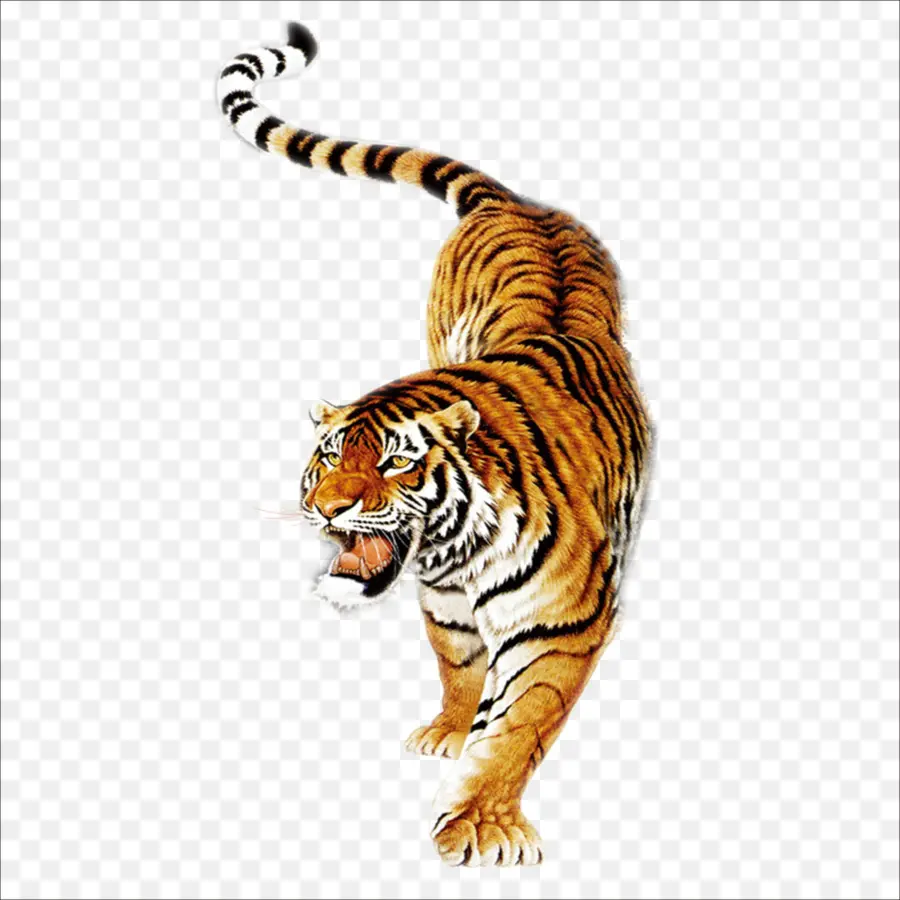 Güney Çin Tiger，Sibirya Kaplanı PNG