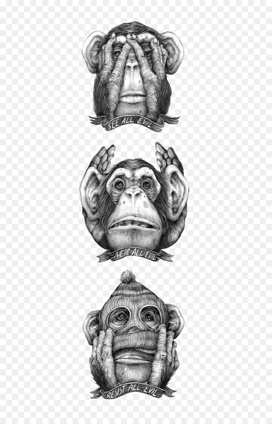 Kötü Maymun，Bebek Maymunları PNG