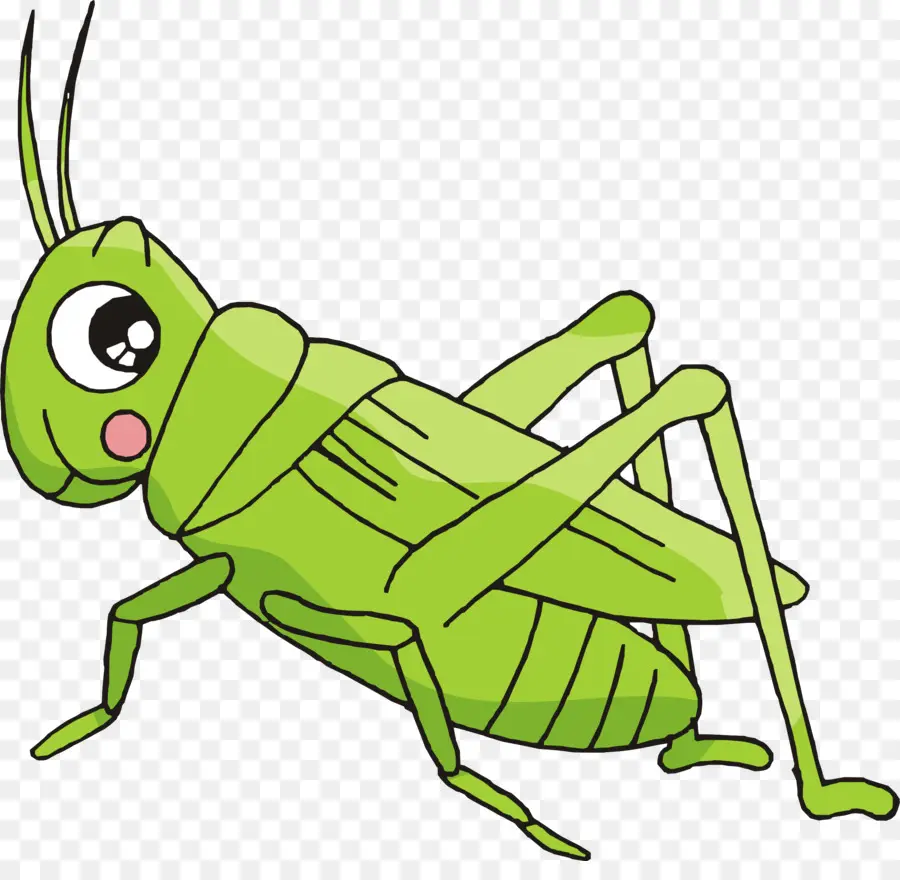 Böcek，Kriket PNG
