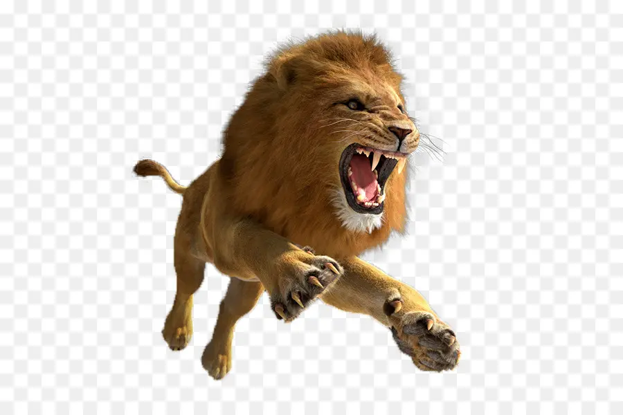 Aslan，Lion Quest Simulator PNG
