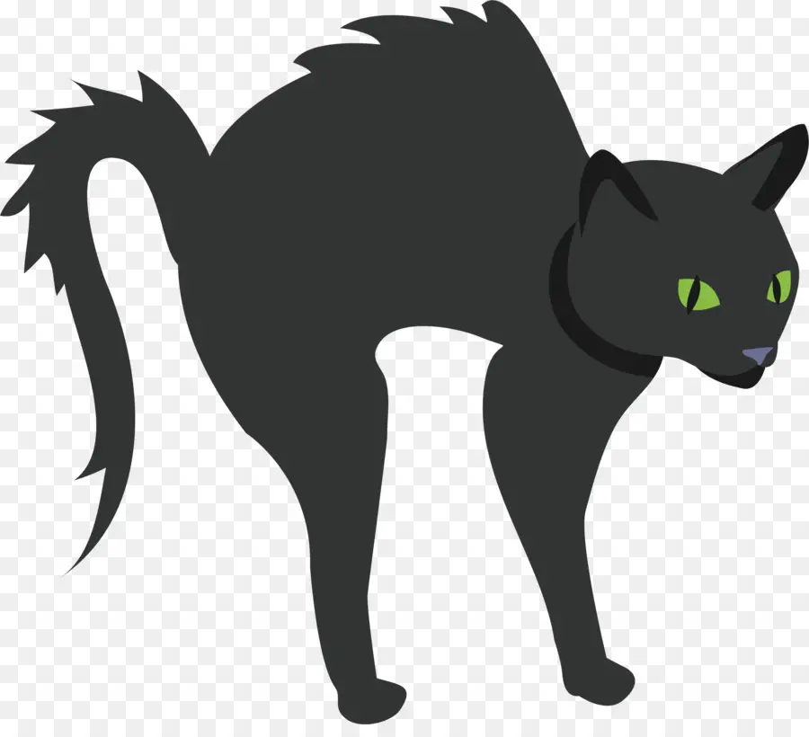 Kedi，Kara Kedi PNG
