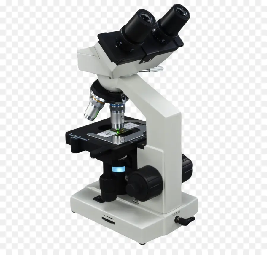 Optik Mikroskop，Dürbün PNG