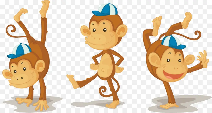 Maymun，Rhesus Makak PNG
