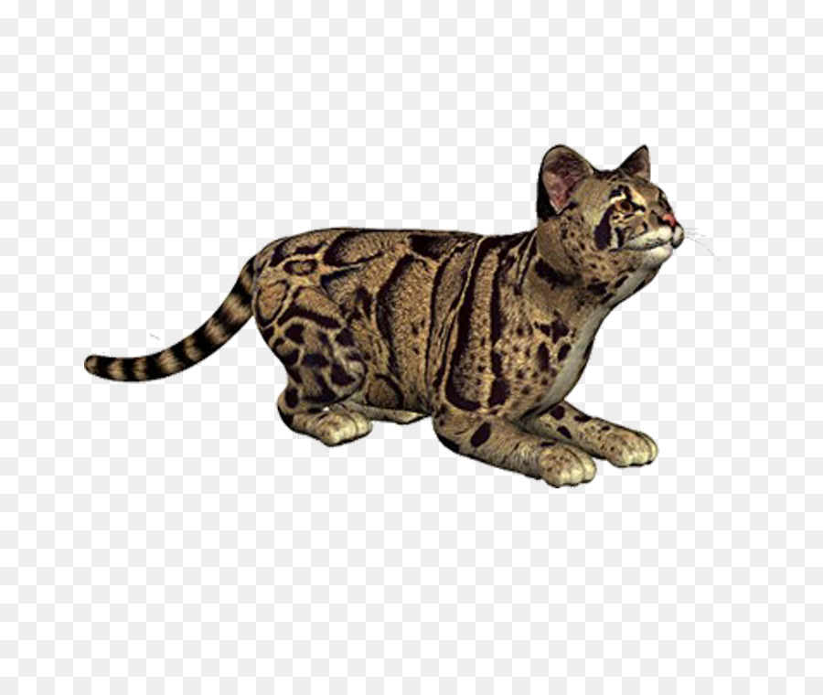 Benekli Kedi，Kedi PNG