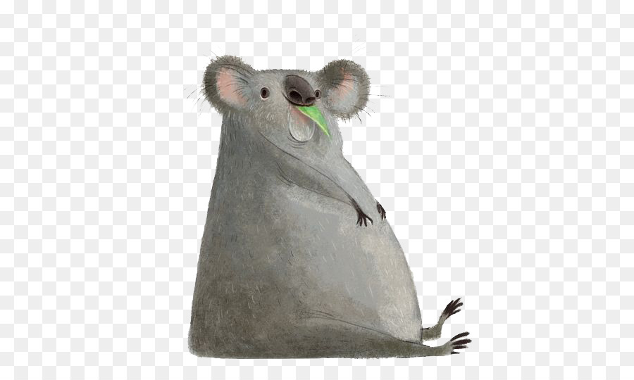 Koala，Gri PNG