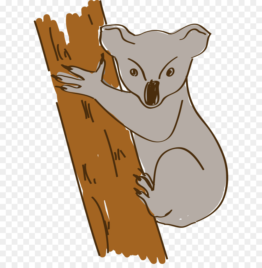 Avustralya，Koala PNG