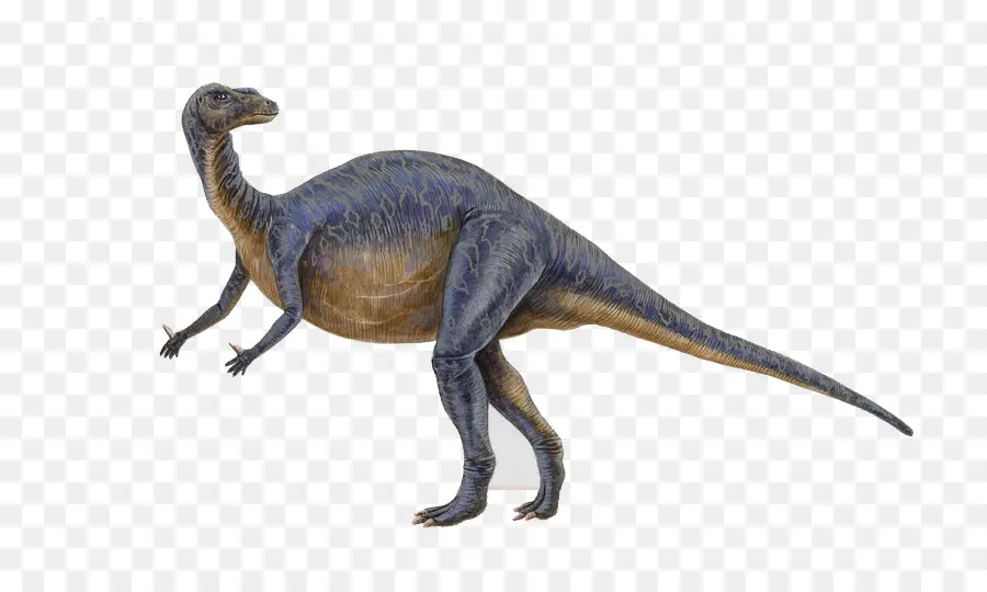 Otçul Kertenkele，Mutaburrasaurus PNG
