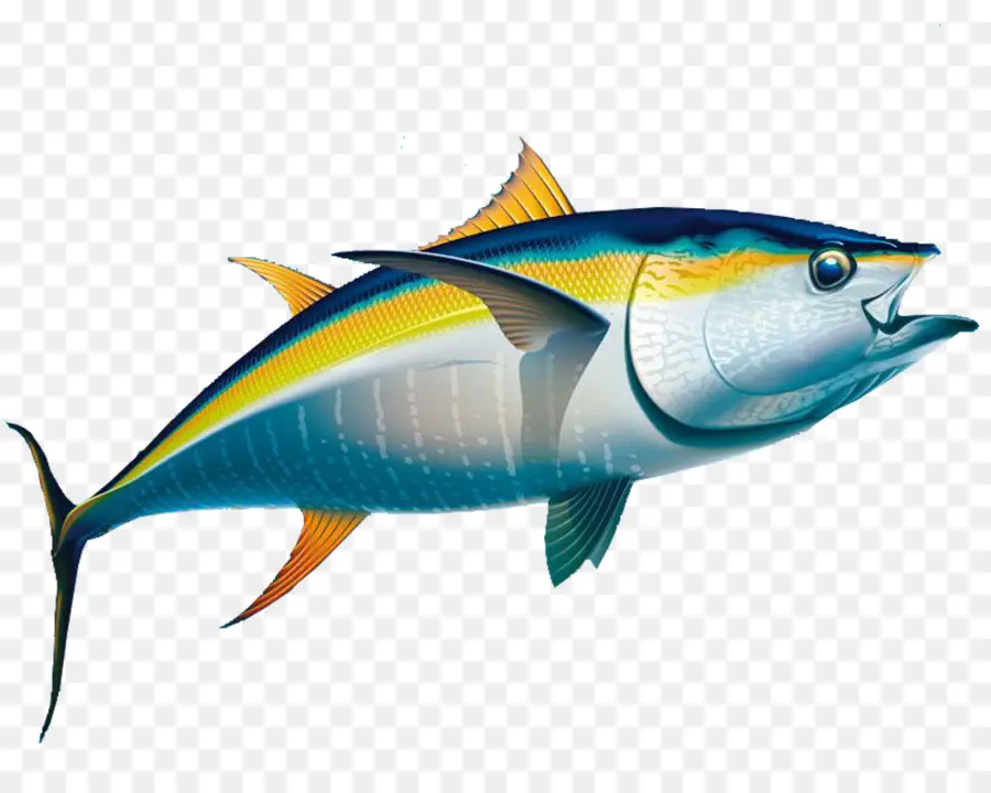 Sarı Yüzgeçli Orkinos，Tuna PNG