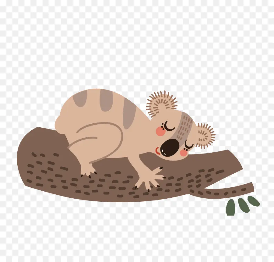 Koala，Sincap PNG