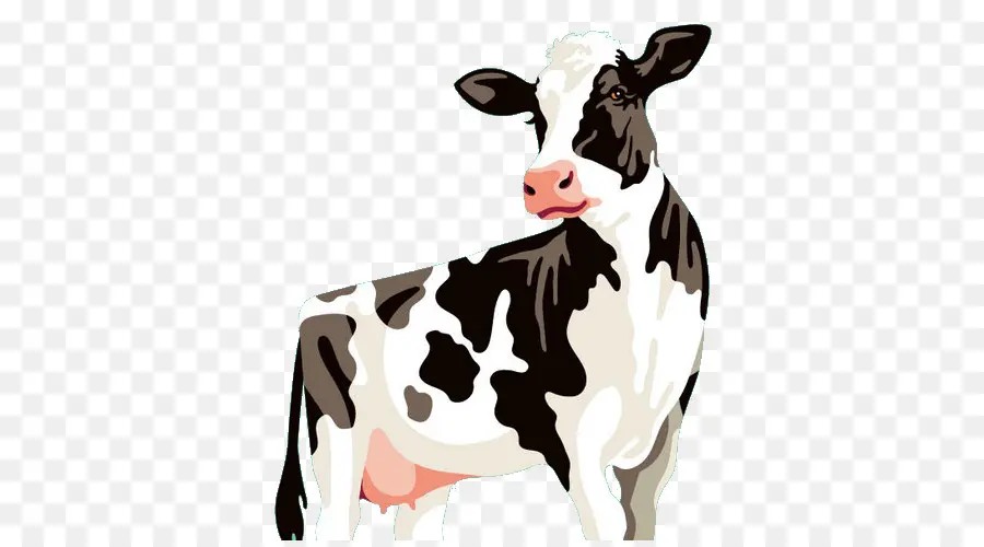 Holstein Friesian Sığır，Ludu PNG