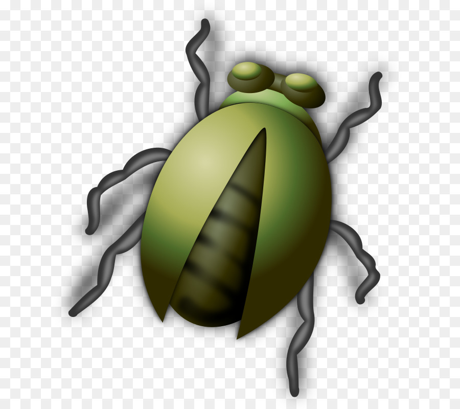 Böcek，Ücretsiz Içerik PNG