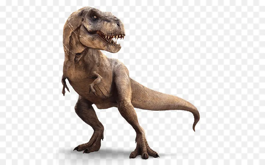 Tyrannosaurus，ıan Malcolm PNG